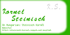 kornel steinisch business card